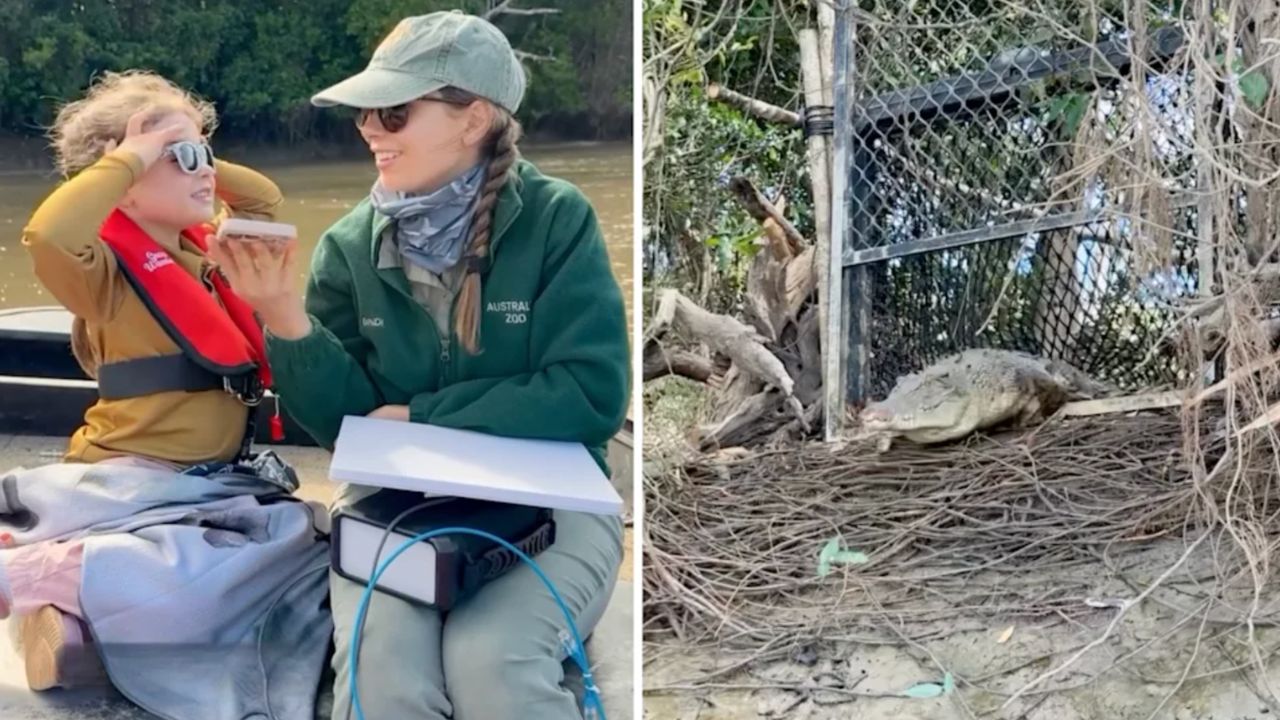 Bindi Irwin s Tribute To Steve Ahead Of 20th Anniversary Of His Death 