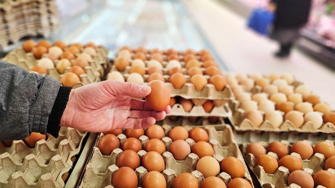 Close-up of a hand picking a brown egg from a carton of eggs in a grocery store.