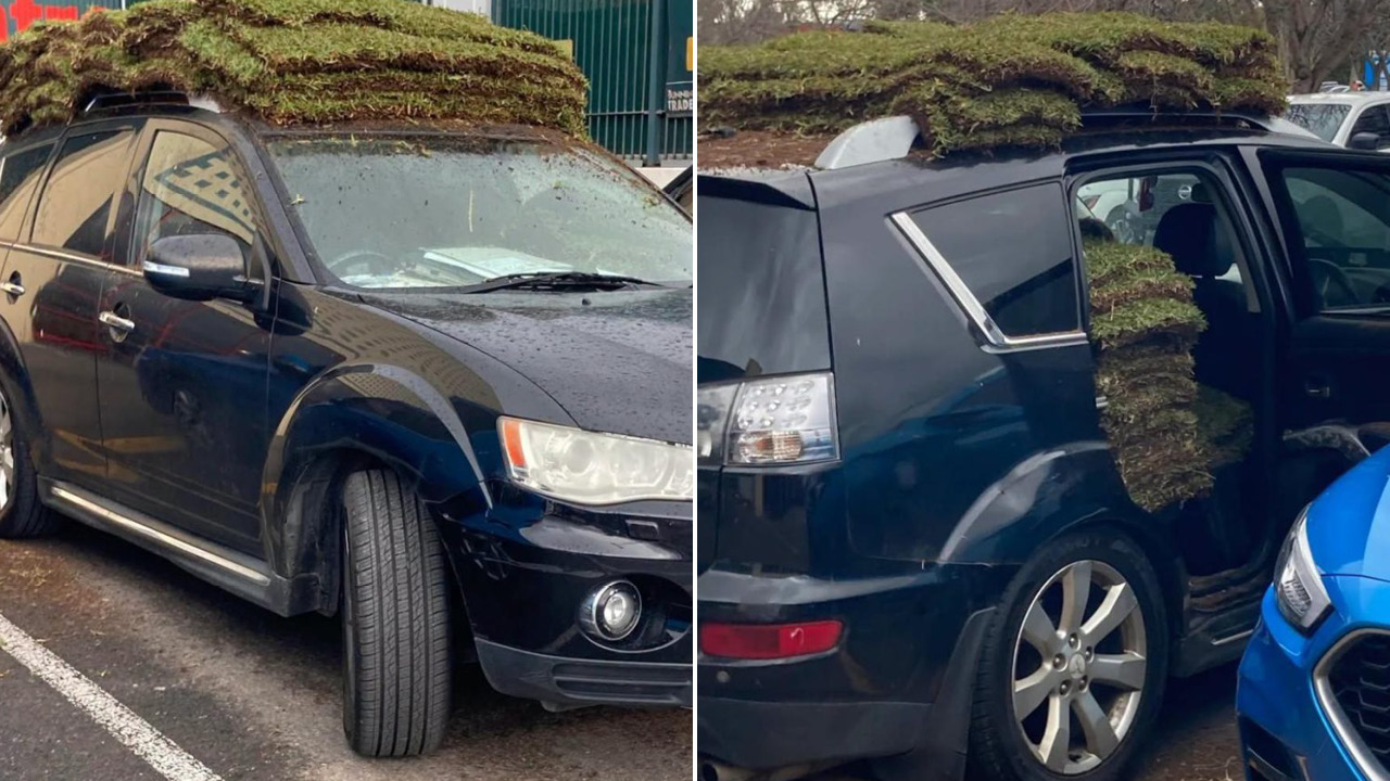Dark blue SUV with sod piled on the roof and along the sides in a parking lot (two views).