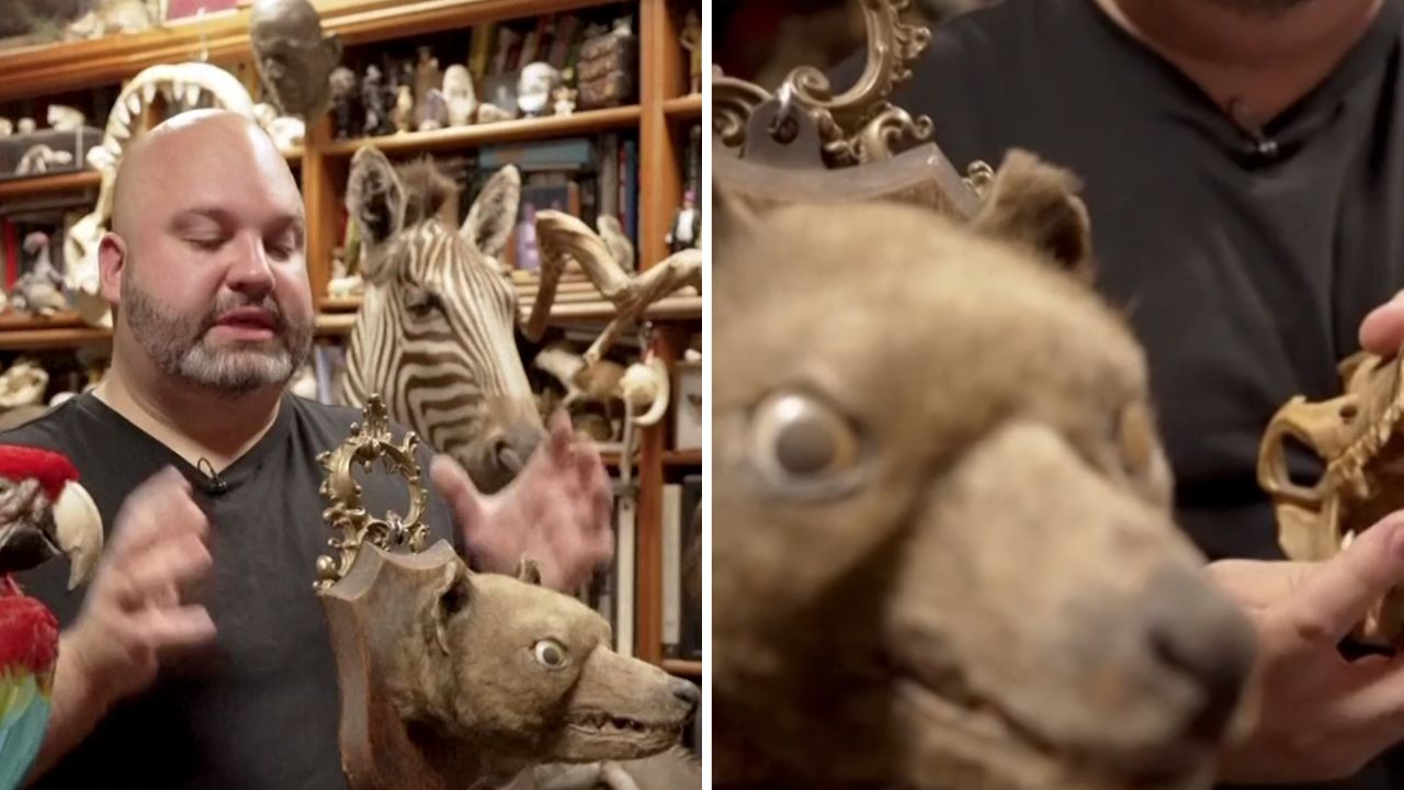 Man in a black shirt demonstrates a brown dog‑like puppet in a cluttered workshop filled with animal props and shelves behind him.